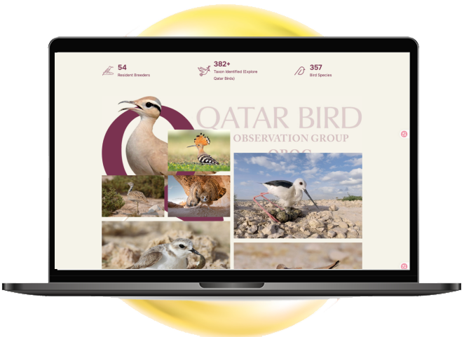 cs-aspirations: website design, Mobile apps Amman Jordan